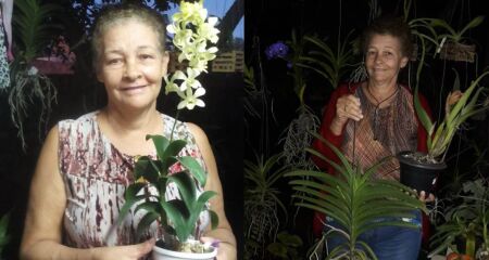 Tereza amava flores e deixava qualquer ambiente mais leve