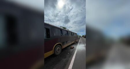 Apesar do susto, ninguém ficou ferido