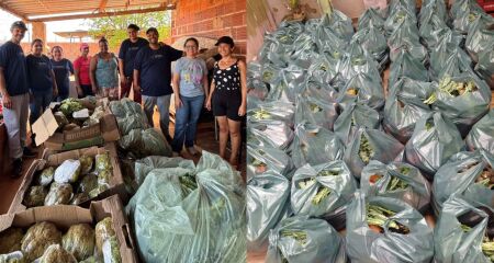 Instituto ajuda aproximadamente 1840 famílias por mês em Campo Grande