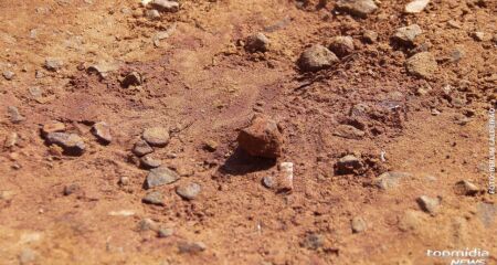 Casal foi surpreendido em emboscada e dois tiros atingiram a cabeça da vítima