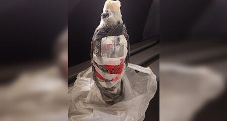 A confusão aconteceu na noite de ontem