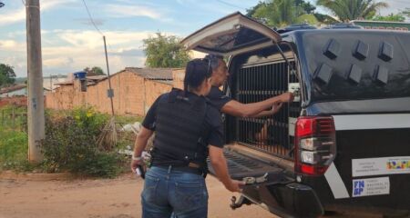 Homem é preso preventivamente pela DAM