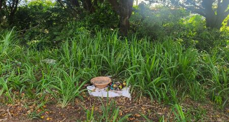 Caminhoneiro teria achado ossada e acionado a polícia