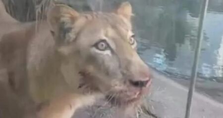 Material cedido ao Metrópoles