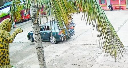 Família buscou ajuda para criança no quartel do Corpo de Bombeiros