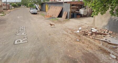 O caso aconteceu na tarde de ontem