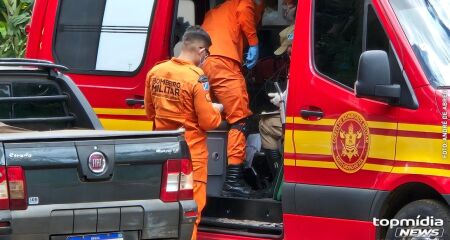 Sem perceber, idoso teria provocado animais que estavam no quintal de casa