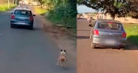 Cena registrada por leitora mostra o desespero e a lealdade do cão mesmo após ser deixado para trás