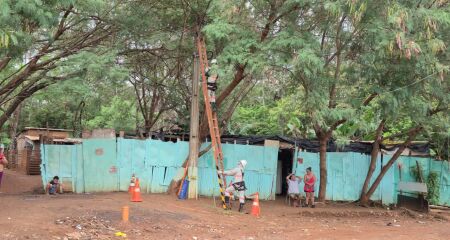 Árvore que caiu em novembro ainda está sendo retirada pela prefeitura