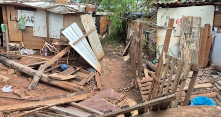 Segundo moradores, as quedas de árvores são recorrentes na comunidade