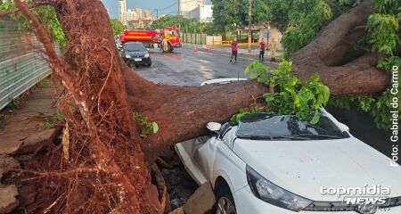 Proprietário ficou bastante abalado ao ver o veículo destruído