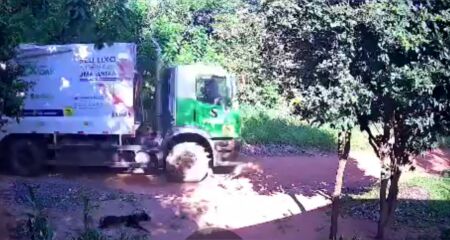 Tutor afirma que motorista n&atilde;o parou ap&oacute;s o atropelamento, mesmo sendo alertado por coletores
