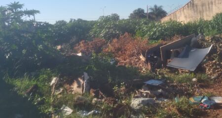 Abandono de terreno baldio deixa moradores preocupados com o risco de acidentes envolvendo insetos e animais pe&ccedil;onhentos