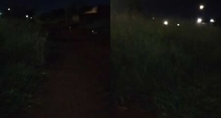 Sem ilumina&ccedil;&atilde;o adequada e limpeza, matagal toma conta das ruas no bairro Rancho Alegre e dificultam passagem de moradores durante a noite