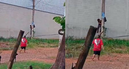 Morador frusta tentativa de furto de fia&ccedil;&atilde;o durante o dia 