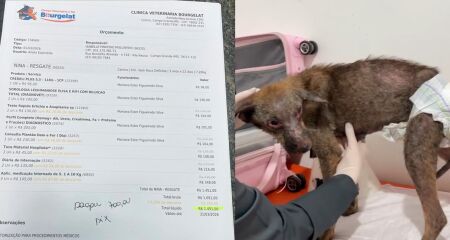 Profissional respons&aacute;vel por resgatar a mascote faz rifa para arcar com custos