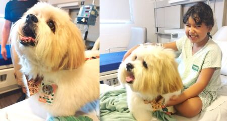 Cachorrinho protagonizou um momento inesquec&iacute;vel para menina