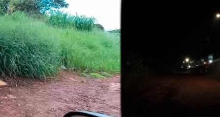 Matagal e falta de ilumina&ccedil;&atilde;o preocupam moradores  