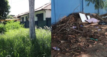 Escola tem matagal bem na frente 