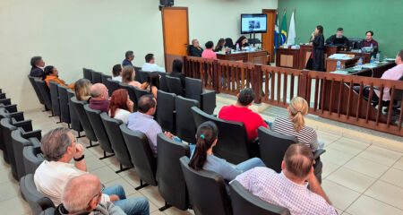 A mulher deve cumprir a primeira parte da pena em pris&atilde;o domiciliar 