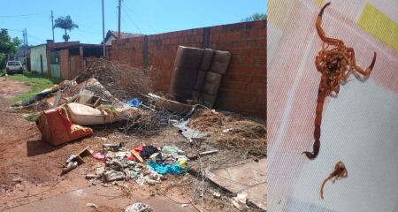 Morador relata medo constante porque filha tem problemas renais e, &agrave; noite, insetos e escorpi&otilde;es invadem as casas pr&oacute;ximas
