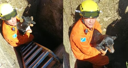 O resgate foi realizado na manh&atilde; de ontem
