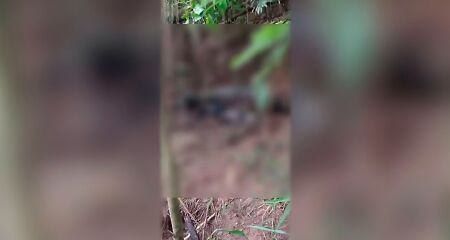 O corpo foi achado na tarde de ontem