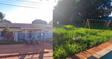Respons&aacute;veis temem acidente com animais pe&ccedil;onhentos por conta do abandono