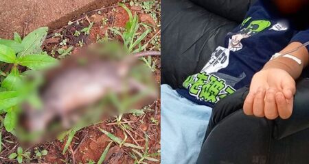 Pai cobra provid&ecirc;ncias em terrenos abandonados por parte da prefeitura