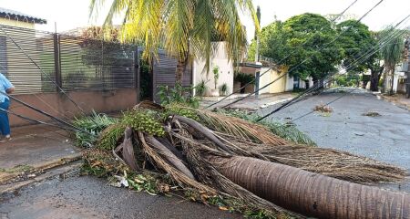Equipes de internet faziam reparos na &aacute;rea e quase foram atingidas