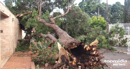 Chuvas deixaram rastros de destrui&ccedil;&atilde;o em toda Campo Grande