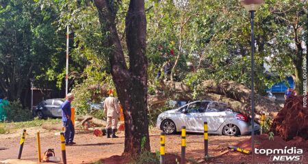 Pelo menos tr&ecirc;s carros ficaram danificados