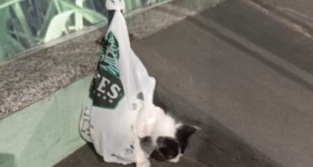 Ela deixou o animal pendurado na frente de um pet shop 