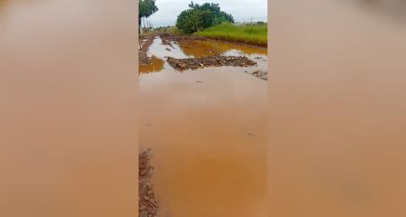 Po&ccedil;a de lama ganhou nome de 'Lagoa Flora do Pantanal' no Riviera Park