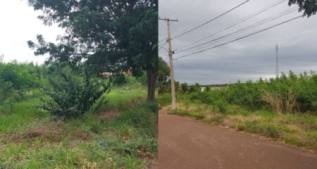 Os moradores n&atilde;o conseguem acessar o espa&ccedil;o p&uacute;blico devido a falta de limpeza na &aacute;rea 