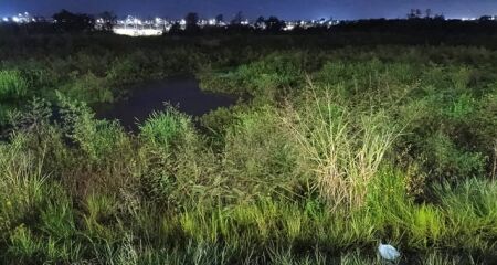 A mulher foi localizada em uma &aacute;rea tomada por vegeta&ccedil;&atilde;o densa e elevado n&iacute;vel de &aacute;gua