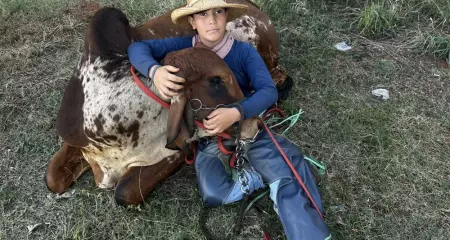 Jo&atilde;o Henrique acompanha o crescimento do animal desde a chegada &agrave; fazenda e hoje impressiona pela sintonia com o bovino da ra&ccedil;a Gir Puro