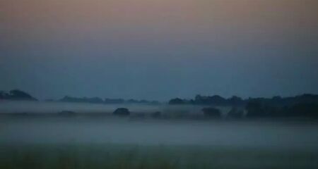 Frio de quase zero grau em Amambai