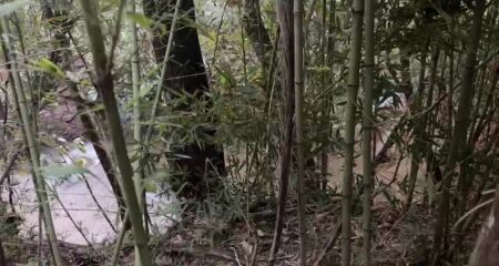 O corpo aparentava estar em avan&ccedil;ado estado de decomposi&ccedil;&atilde;o 