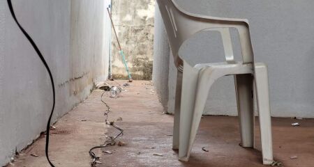 Imagem Ilustrativa