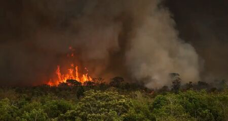 Decreto amplia medidas de combate a inc&ecirc;ndios e a&ccedil;&otilde;es preventivas junto a outros &oacute;rg&atilde;os 