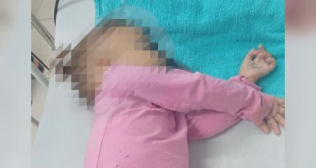 A beb&ecirc; de 1 ano e 7 meses foi diagnosticada com anemia e bact&eacute;ria no sangue, n&atilde;o identificadas em consultas anteriores 