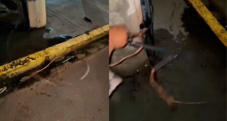 Lojas s&atilde;o furtadas diversas vezes e lojistas precisam pagar seguran&ccedil;a do pr&oacute;prio bolso