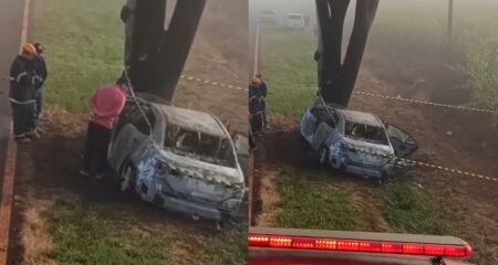 Veículo teria saído da pista, atingido uma árvore e pegado fogo