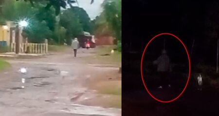 Quando o homem sai para passear com seus c&atilde;es sem coleira, eles costumam avan&ccedil;ar nos pedestres