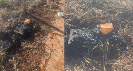 Animais s&atilde;o cuidados por protetor independente, mas seriam motivo de discordia por parte do bairro