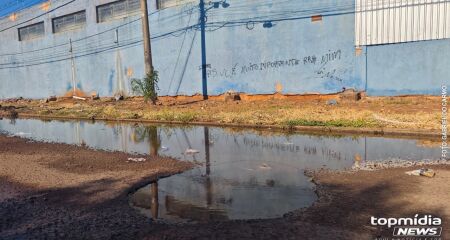 O amor pode ser encontrado nos lugares mais improváveis