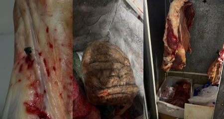 Produtos sem identifica&ccedil;&atilde;o, falhas de higiene e produ&ccedil;&atilde;o irregular de embutidos foram encontrados durante a&ccedil;&atilde;o da Decon 
