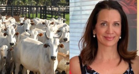 Rossana Paroschi Jafar foi presa junto com filhos e família tem histórico em crimes