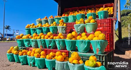Sol aparece justamente no fim da esta&ccedil;&atilde;o da fruta
